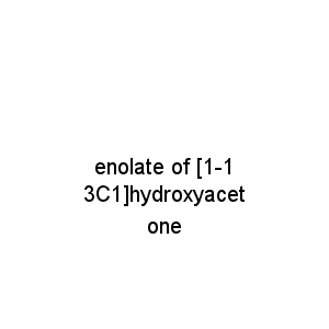 enolate of [1-13C1]hydroxyacetone